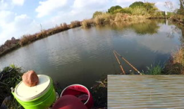 农村野钓视频,捕捉自然之美，享受宁静时光