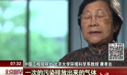 二级黄色视频,内容解析与警示